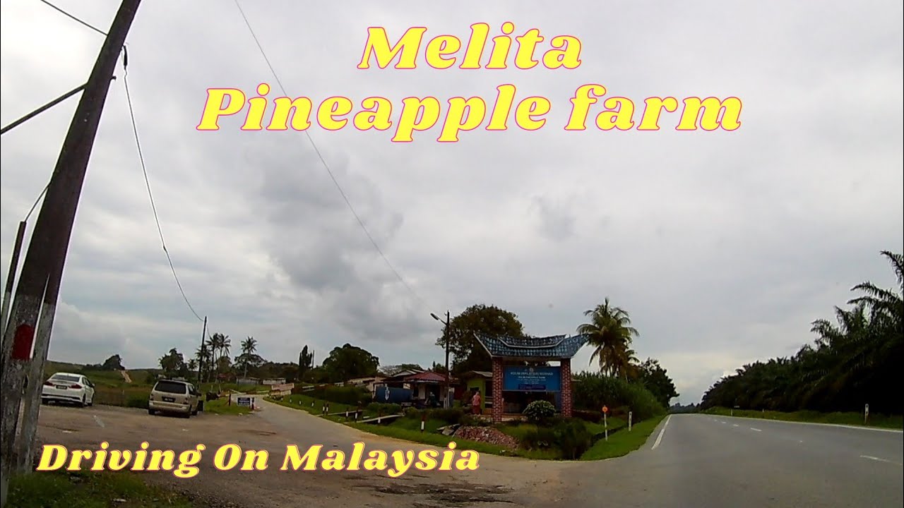 Drive To Melita Pineapple Farm.Ulu Tiram.Johor Bahru.Driving view 