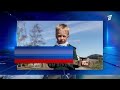 Картина дня