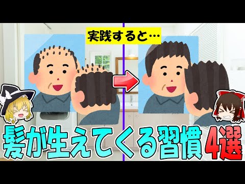 すぐ実践しなきゃ損！髪が生えてくる習慣4選！【ゆっくり解説】