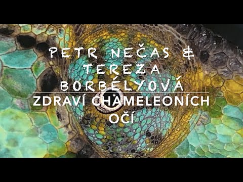 Video: Dievčaťom Je Chameleón. Čínska Blogerka Sa So Svojimi Schopnosťami Líčenia Dokáže Premeniť Na Kohokoľvek