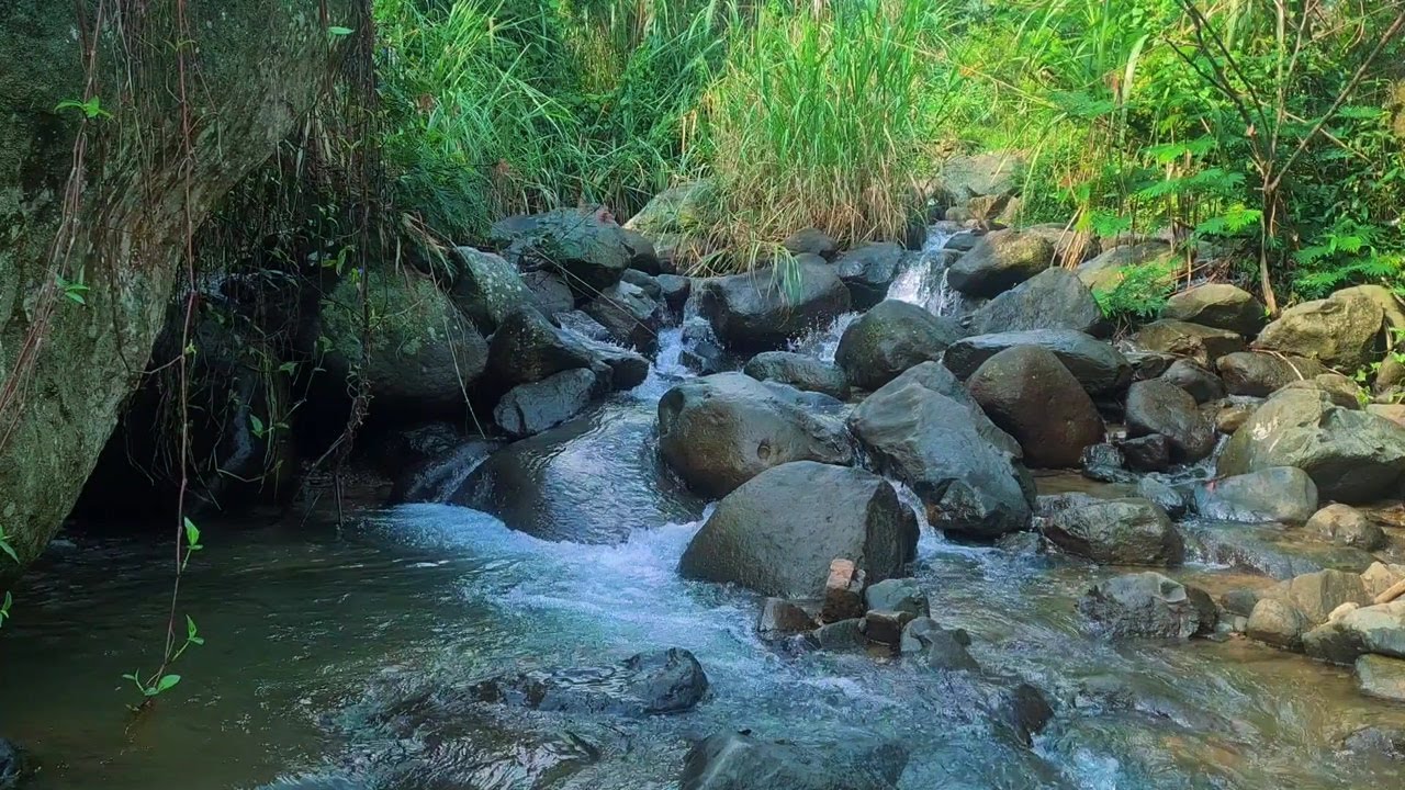 Moonlit River Sounds – Gentle Water Flow Ambience to Help You Fall Asleep Faster