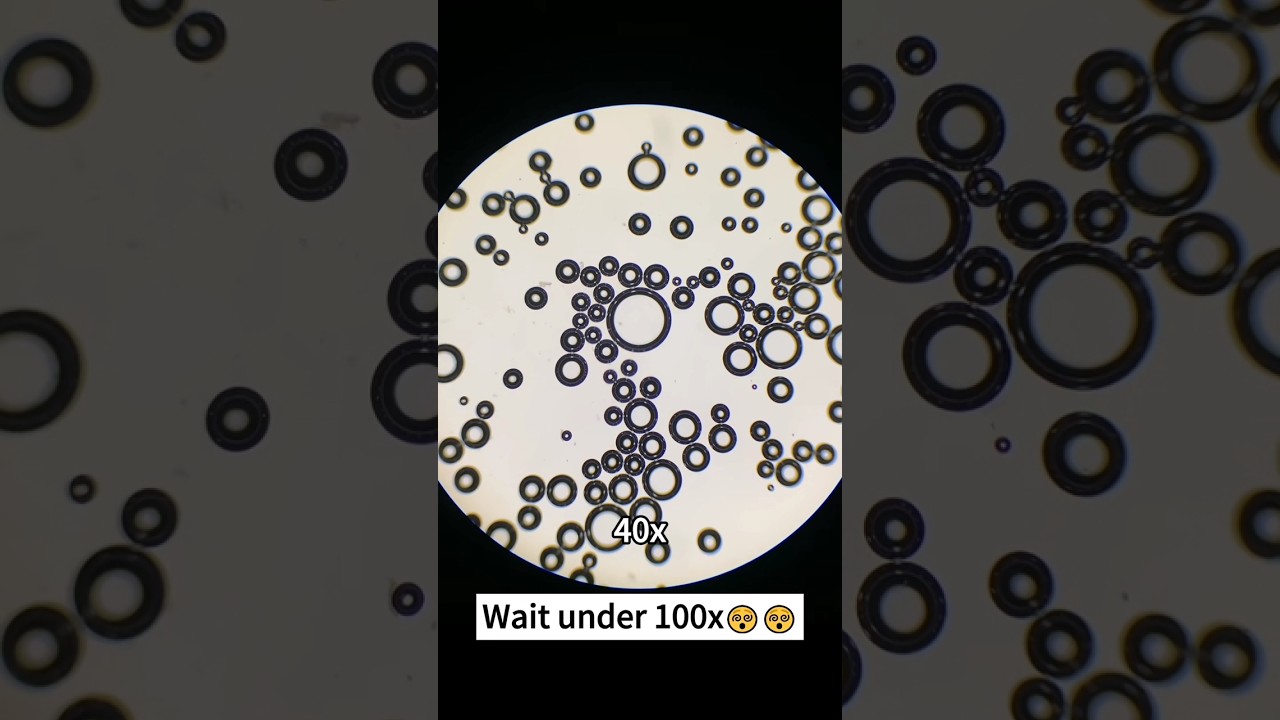 beer 🥃 under the microscope 🔬 🤯
