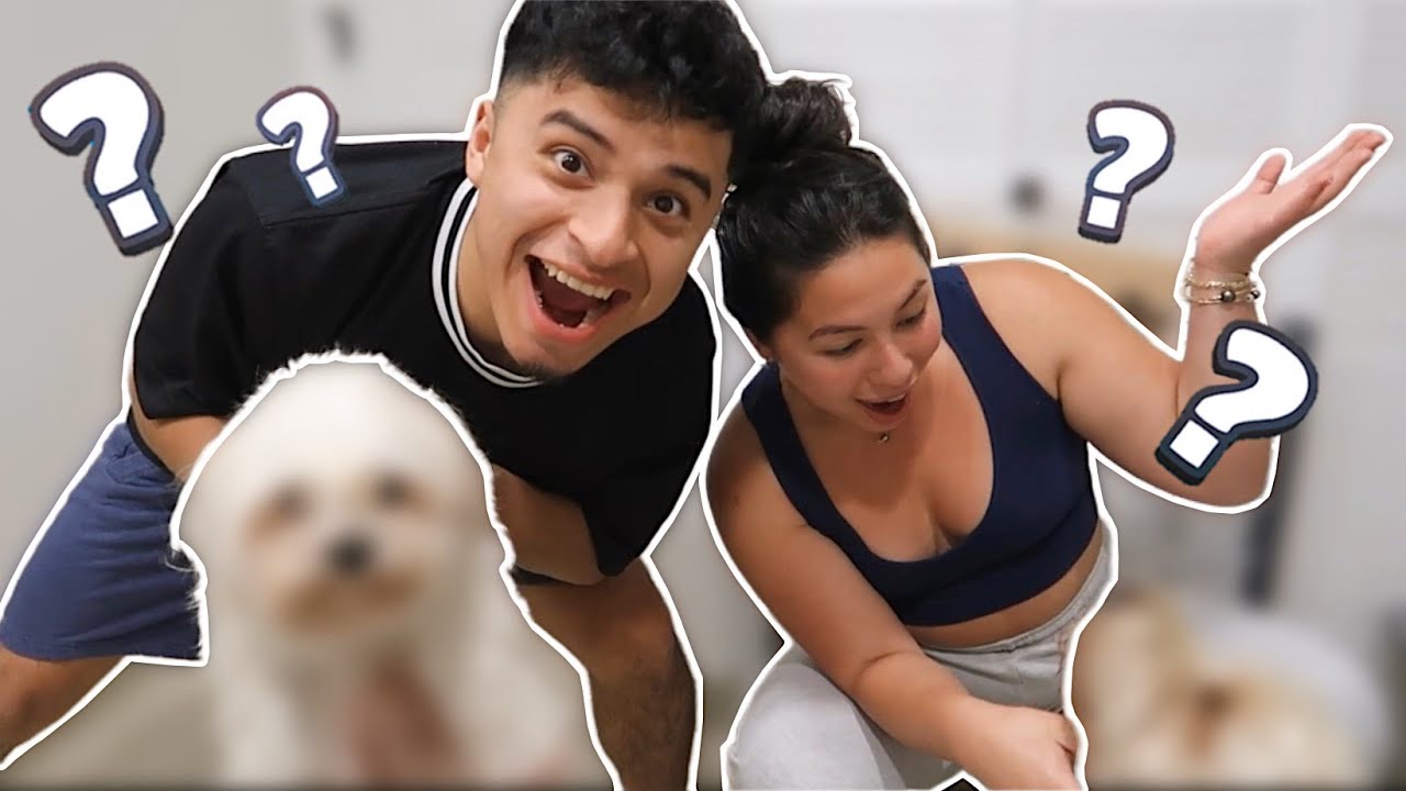 being-parents-for-24-hours-youtube
