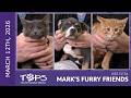 3/12/2026 | Christian, Trail Mix and Australia | Mark's Furry Friends Extra