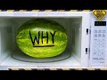 We Microwaved a Watermelon for Half an Hour!
