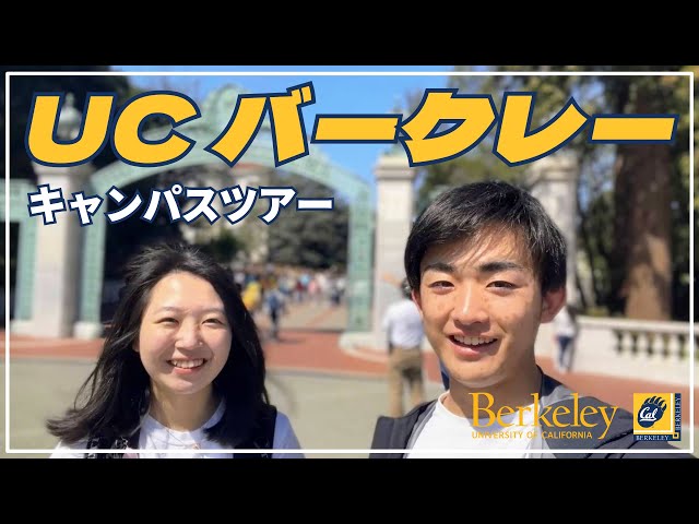 バークレーキャンパスノート】California Berkeley 【公式通販】