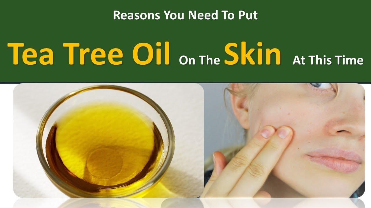 Reasons You Need To Put Tea Tree Oil On The Skin At This Time YouTube