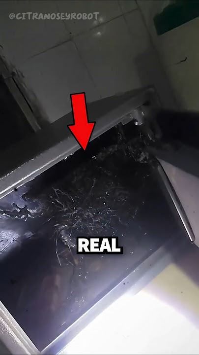 Bro Grew AN ALIEN From A Rock!😳😱 ?? #citra #venom #kinpanama #alien #nosey #shorts