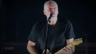 David Gilmour Live in Orange - 17th September 2015