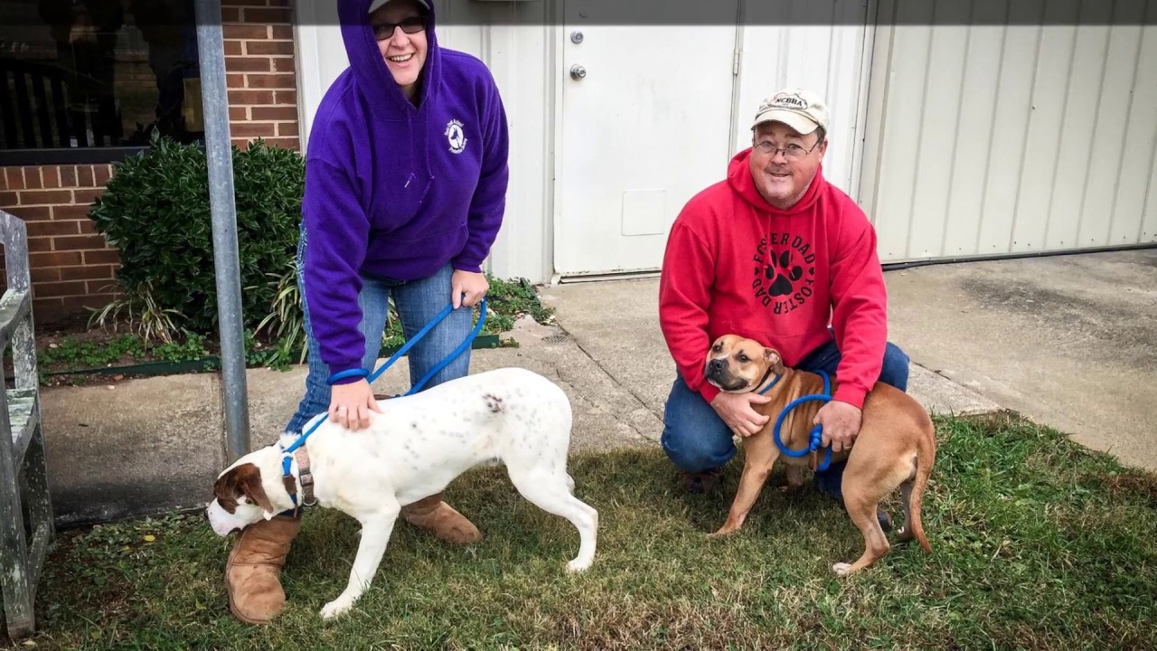 Mikey Rosetta Dog Rescue Flight YouTube