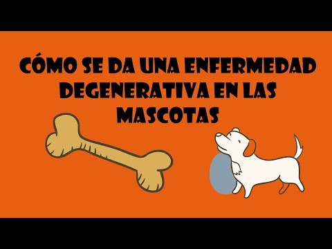 Video: Condiciones de la columna vertebral degenerativa en perros