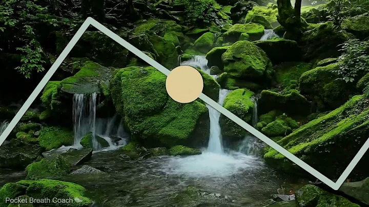 Lower Cortisol with 4-8 Breathing