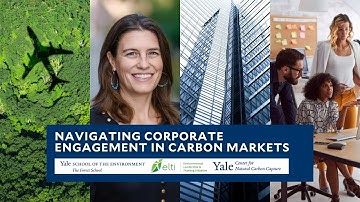 New Online Course: Yale’s Navigating Corporate Engagement in Carbon Markets