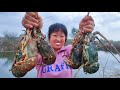 South Pacific lobster harvest! On the largest moon, colorful lobsters gathered in the pool.