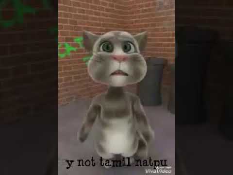 Kalappu 2 Song