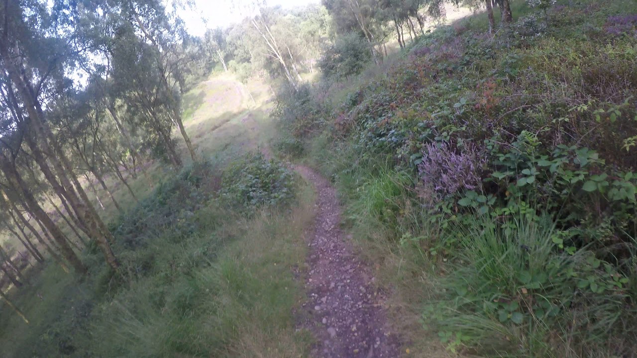 Talking About Wild Camping At Cannock Chase End To End Trail Youtube