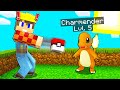 *NUOVA SERIE* CATTURO IL MIO PRIMO POKEMON SU MINECRAFT!!
