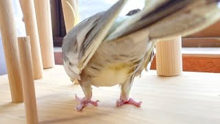 ほっこり家より報告があります！