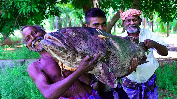 40 KG GIANT HAMOUR FISH 65 | Hamour Fish Cutting Skills| Village Grandpa Karuppasamy Cooking Show