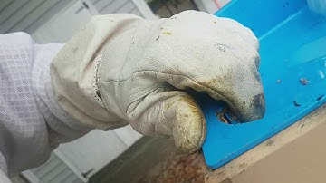 Ceracell Feeder Winter Prep