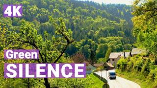 🌿 Black Forest 4K | Calm Aerial Views & Soft Spring Light (Ambient, Relaxation) screenshot 3