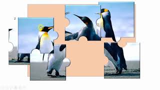 Hướng dẫn làm game xếp hình (Jigsaw Puzzle) bằng powerpoint screenshot 4