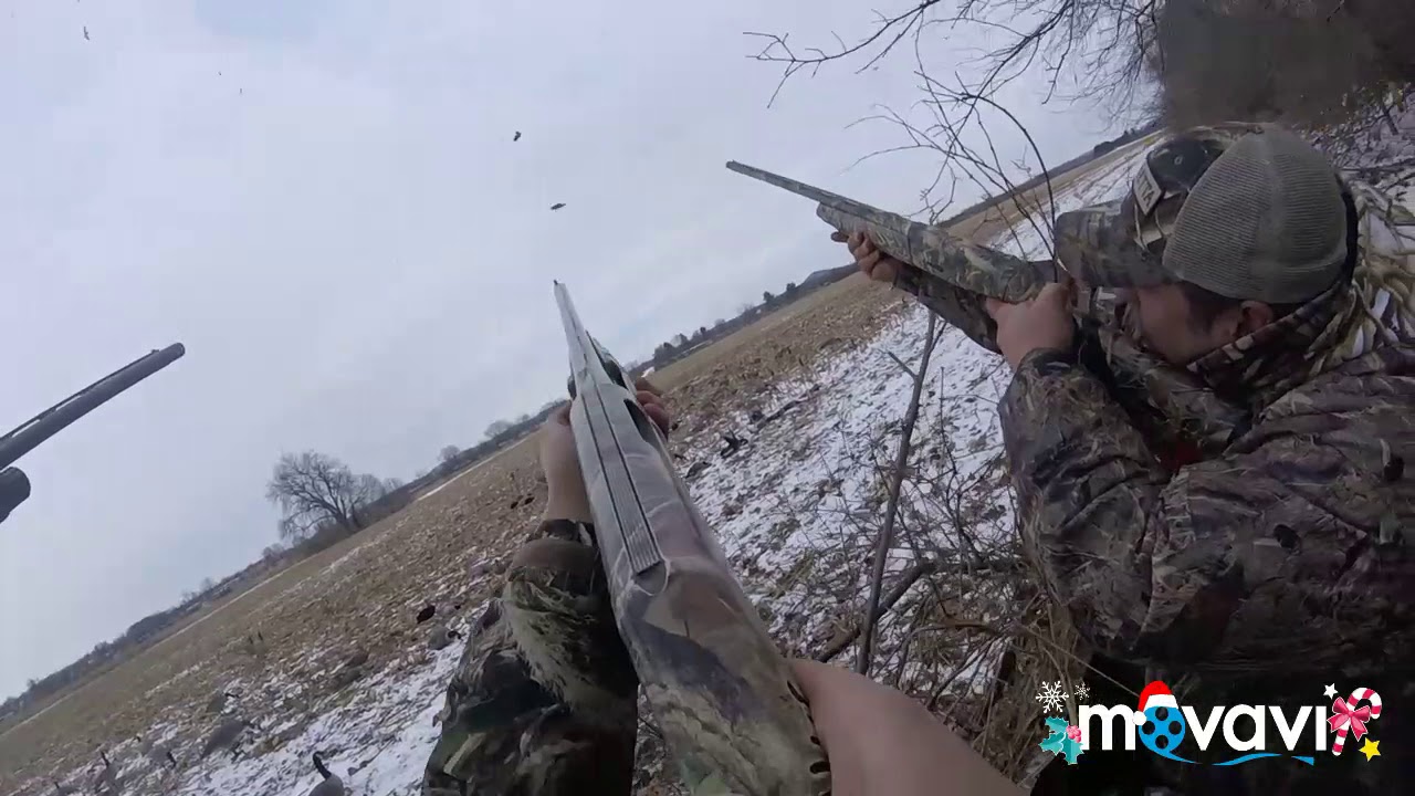 Southern Ohio Duck Hunt YouTube southern-ohio-duck-hunt-youtube