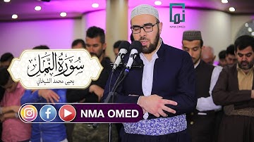 سورة النمل كاملة بصوت القارىء يحيى محمد الشيخاني