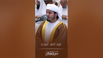 { الذين جعلوا القرآن عضين فوربك لنسألنهم أجمعين عما كانوا يعملون } سورة الحجر/ القارئ هزاع البلوشي