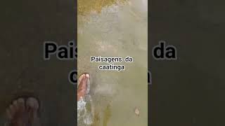paisagem da caatinga #vidanaroça #diadia