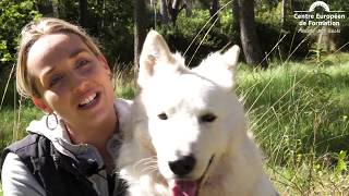 Le Métier Déducateur Canin : Portrait Dalexandra Galand (Spécialisée Au Comportement)