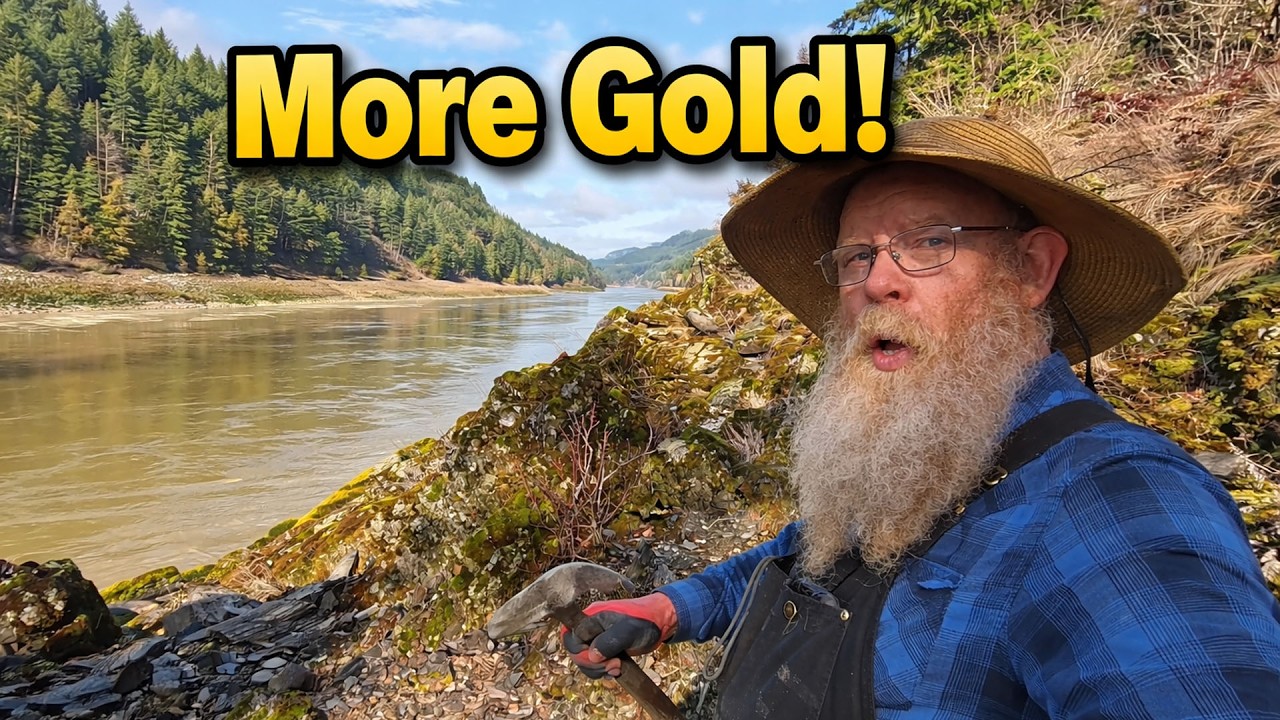 Can we find more GOLD at Pickerton!