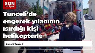 Tunceli’de Engerek Yılanının Isırdığı Kişi Helikopterle Hastaneye Kaldırıldı