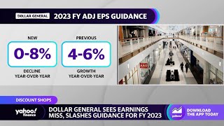 Celebrity Dollar General stock plummets as dollar stores get hit by the cautious consumer Profile