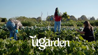 Why is the University of Georgia s UGArden unique