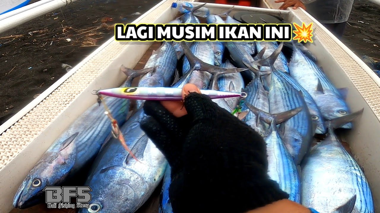 JORAN GINDARA SPINING 08-1.0 VS IKAN KENYAR💥