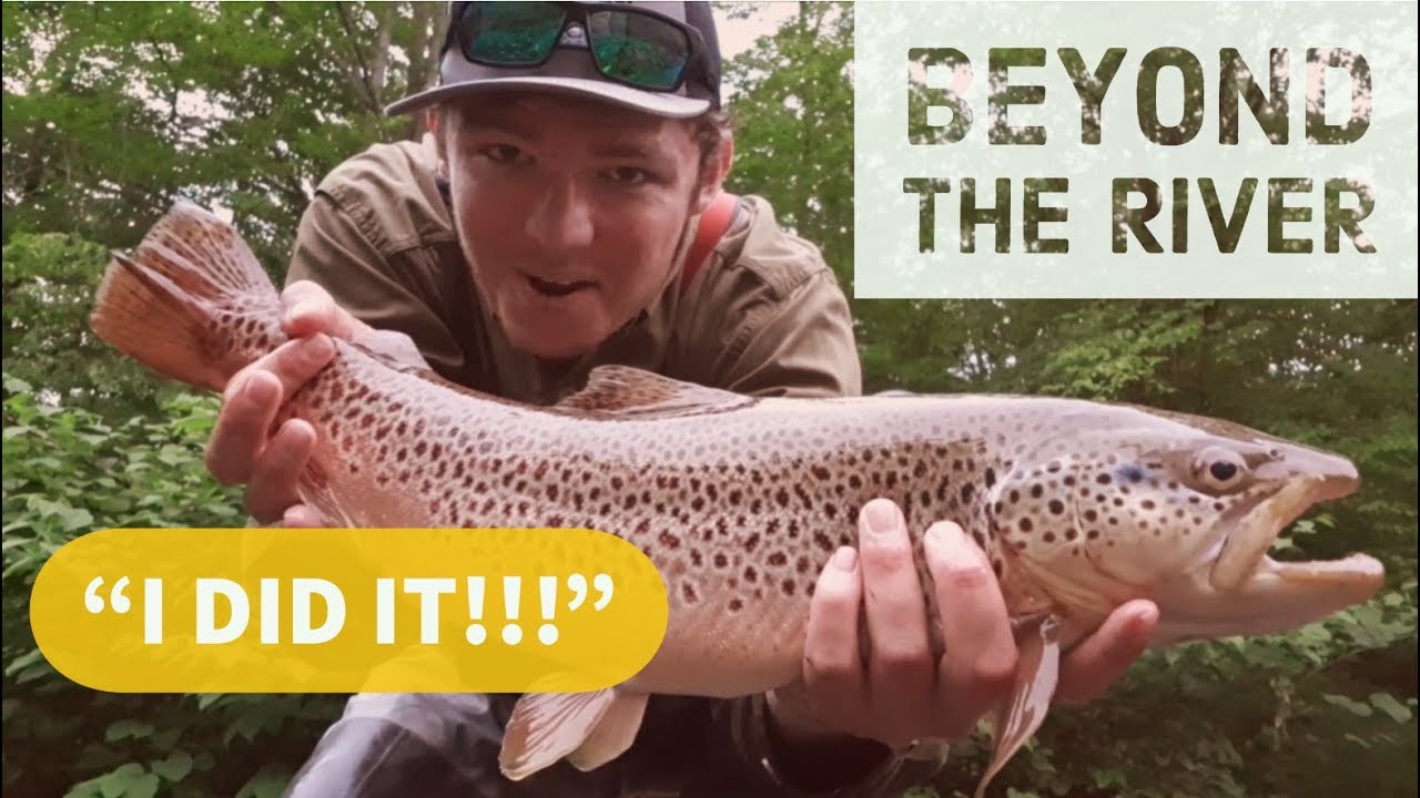 MONSTER BROWN while fishing BIG STREAMERS!!! YouTube