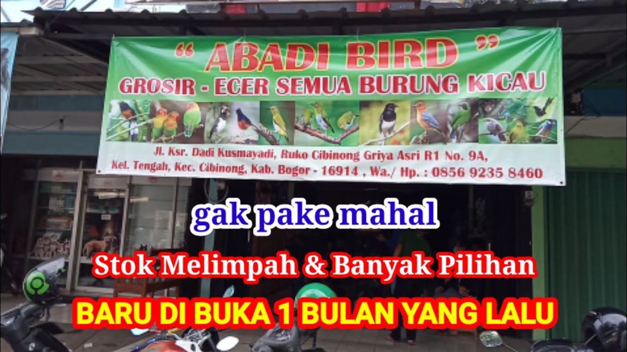 Abadi bird cibinong