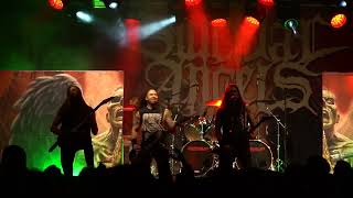 SUICIDAL ANGELS - Born of Hate - LIVE at Andernach Metal Days 2024
