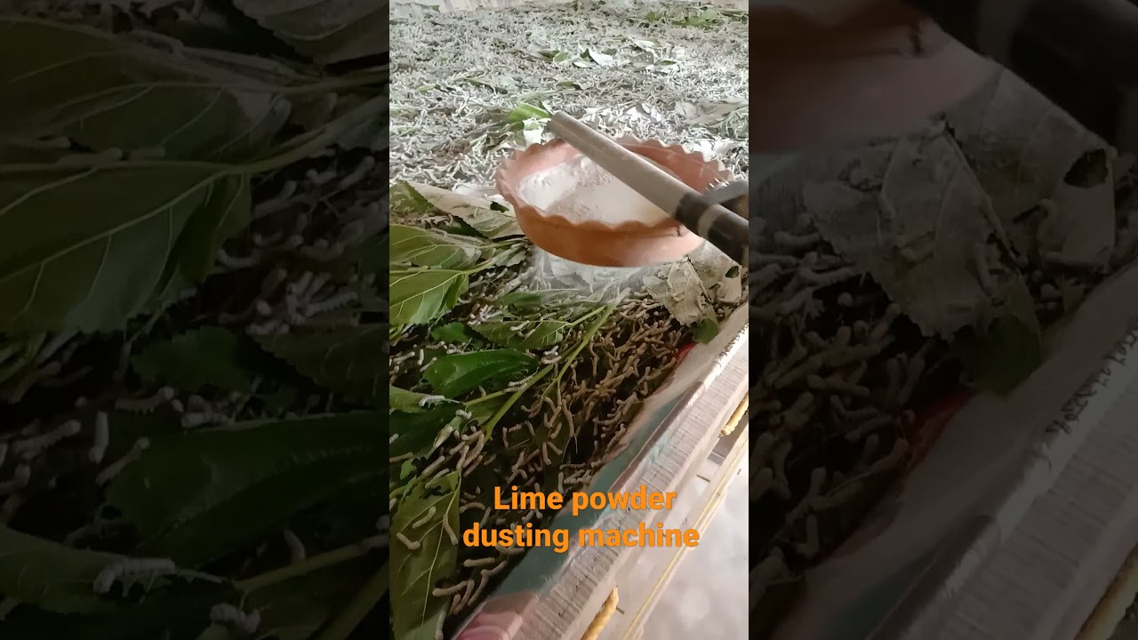 home made lime powder dusting machine