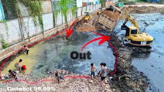Unstoppable! CAT Excavator & KOMATSU Bulldozer Team up to Build a Road through Deep Mud - Connected