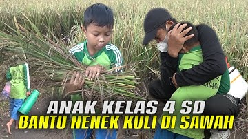 LUKY SEJAK 1 TH DITINGGAL PISAH IBU&BAPAKNYA-KINI HIDUP DGN NENEK-RAJIN BANTU KULI NYABIT&PIKUL PADI