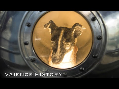 【犠牲】片道切符だった、宇宙で死んだ犬の話