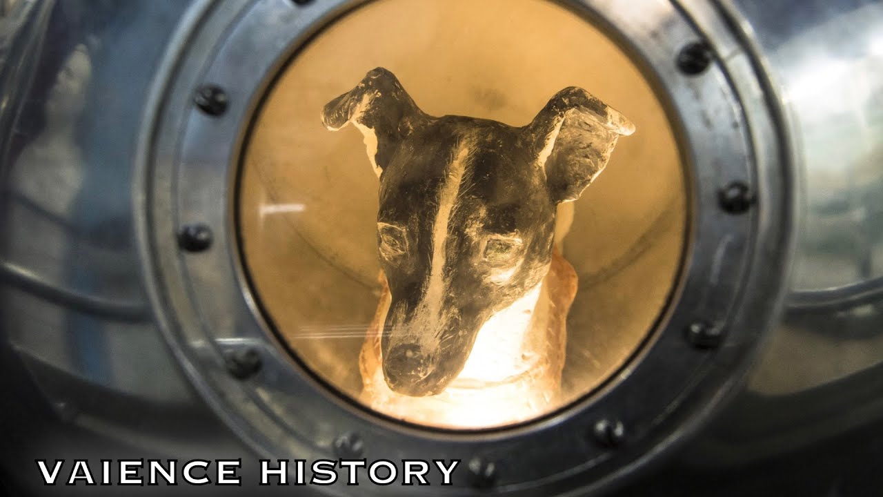 片道切符だった 宇宙で死んだ犬の話 Vaience