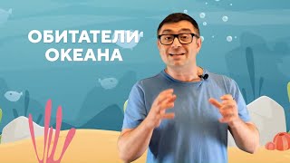 Обитатели океана - путешествие с Александром Толмачевым