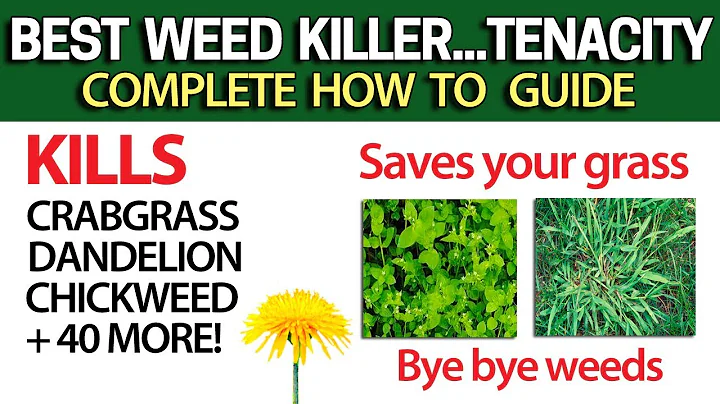 Kill Weeds Crabgrass + 40 more & NOT your Grass with Tenacity - DIY