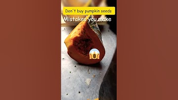 pumpkin seeds mistakes you make 😭 #shortsfeed