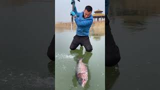 This Man Saves The Life Of A Frozen Fish 