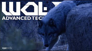 Precision. Power. Performance. - WOLF Advanced Technology Website Reveal