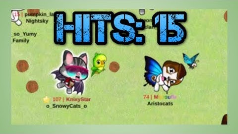 Meow Playground, but if I get less then 15 hits in DB, the video ends